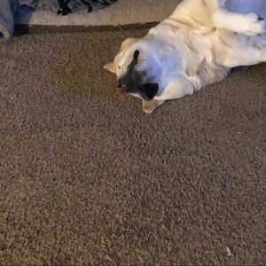 Meet your Posher, Jonathan